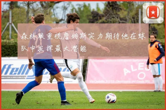森林狼重视詹姆斯实力期待他在球队中发挥最大潜能