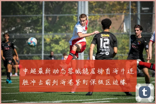 中超最新动态蓉城稳居榜首海牛连胜冲击前列海港紧盯保级区边缘